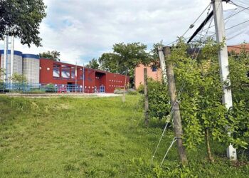 Scuola agraria Sabbatini in festa per i 140 anni