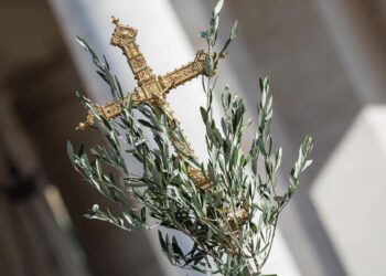 Settimana Santa al via. Tutte le celebrazioni in Cattedrale