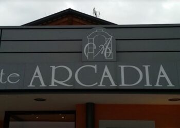 Sfonda con l’auto la vetrata di una pizzeria, rintracciato 22enne