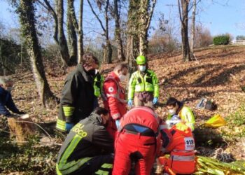 Si infortuna tagliando la legna