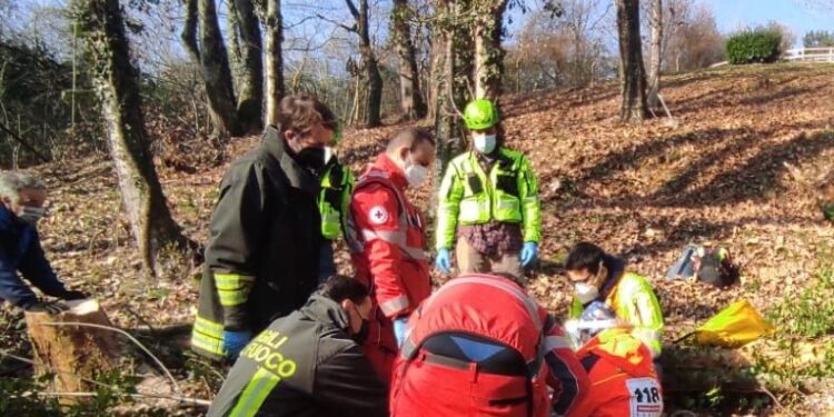 Si infortuna tagliando la legna