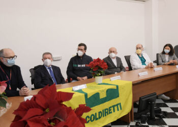 Stelle di Natale per i sanitari