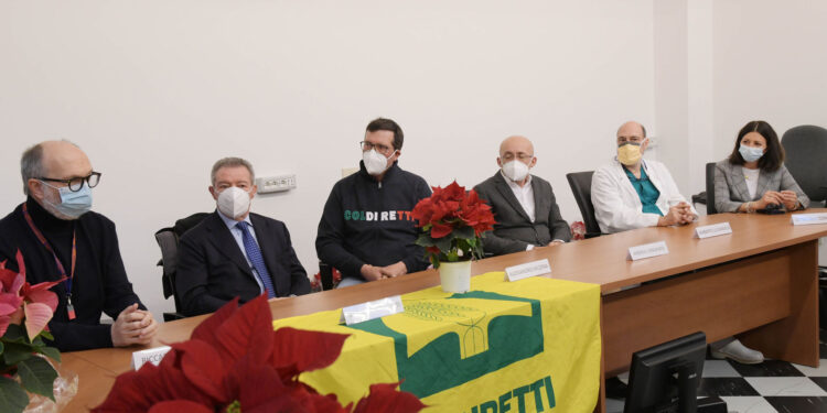 Stelle di Natale per i sanitari