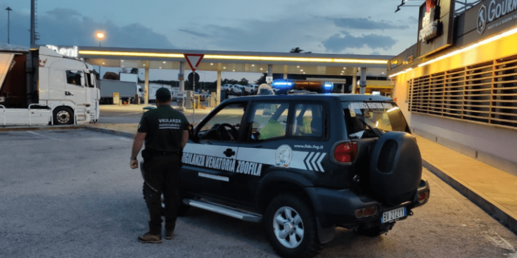 Sulle strade scattano i controlli contro l’abbandono di animali