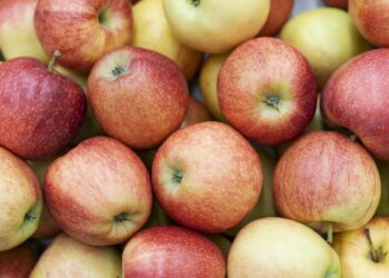 Te Fieste dal Miluç di Tumieç al torne il laboratori di Maman