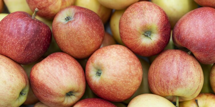 Te Fieste dal Miluç di Tumieç al torne il laboratori di Maman