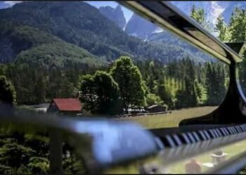 Torna Risonanze, il festival del legno che suona