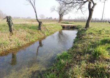 Torna l’acqua nella roggia di Buttrio