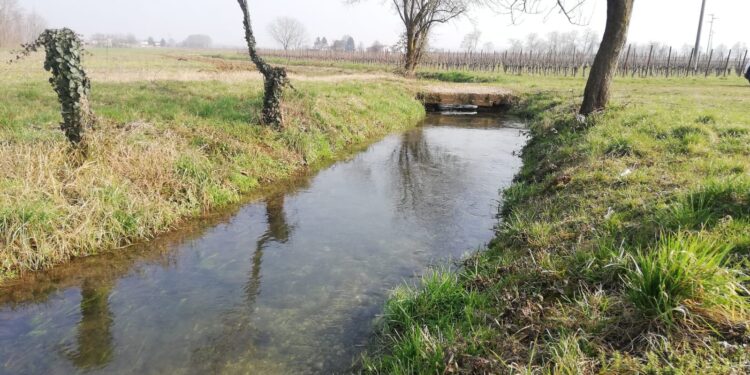 Torna l’acqua nella roggia di Buttrio