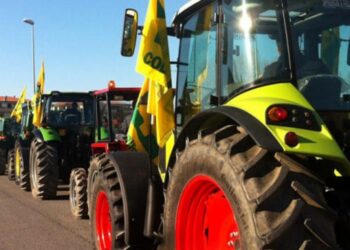 Trattori in piazza contro la cimice “killer”