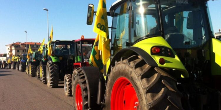 Trattori in piazza contro la cimice “killer”