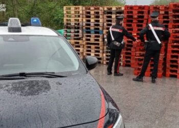 Truffa del pellet, denunciati due giovani