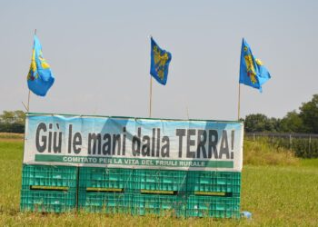 Udine Ovest-Redipuglia, la Regione sta con Terna