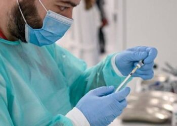 Variante inglese, 17 casi in Fvg