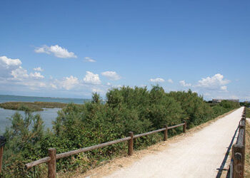 Verso la Ciclovia Trieste-Lignano-Venezia