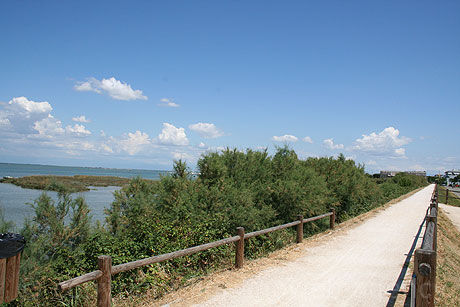 Verso la Ciclovia Trieste-Lignano-Venezia