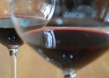 Vini doc, nato il consorzio volontario di tutela