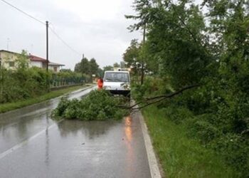 Violenti temporali in Friuli, 250 volontari in azione