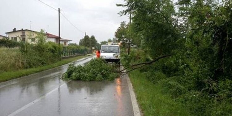 Violenti temporali in Friuli, 250 volontari in azione