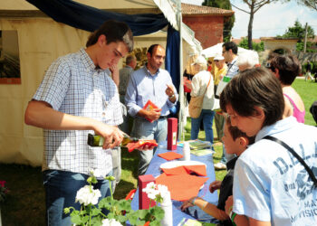 Weekend di degustazioni e incontri a Olio e dintorni