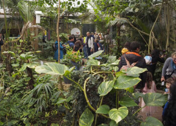 Anno da record per la Casa delle farfalle