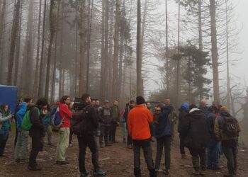 Il bosco del Friuli fa scuola, studenti da tutta Italia a Paluzza