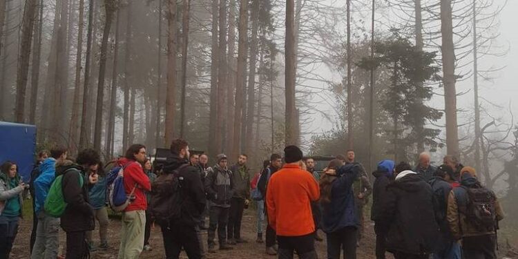 Il bosco del Friuli fa scuola, studenti da tutta Italia a Paluzza