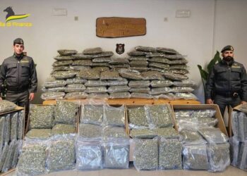 Sequestrati al casello di Ugovizza 195 chili di marijuana