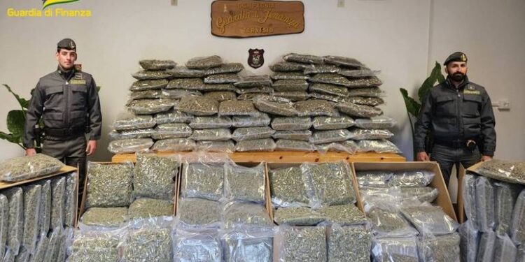 Sequestrati al casello di Ugovizza 195 chili di marijuana