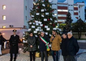 Sull'albero della Quiete le lettere a Gesù Bambino