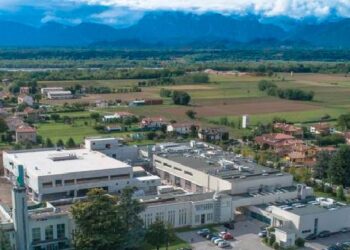 A Villanova 320 mila api sul tetto di LimaCorporate