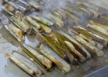 A Lignano torna la “Festa delle Cape”