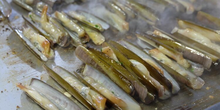 A Lignano torna la “Festa delle Cape”