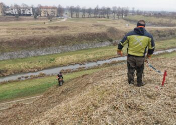 Palmanova. Tornano i forestali della Regione per ripulire i Bastioni