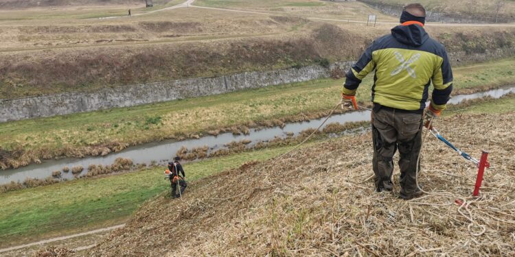 Palmanova. Tornano i forestali della Regione per ripulire i Bastioni