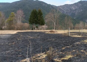 Oseacco, domato incendio di sterpaglie