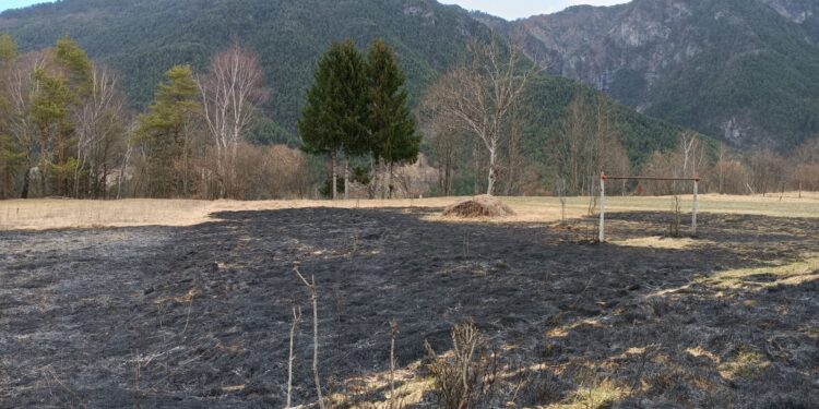 Oseacco, domato incendio di sterpaglie