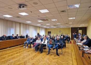 Tagliamento e alluvioni. Incontro con la vice ministro Gava