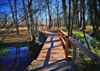 Al Parco delle Risorgive di Codroipo 500 nuove piante