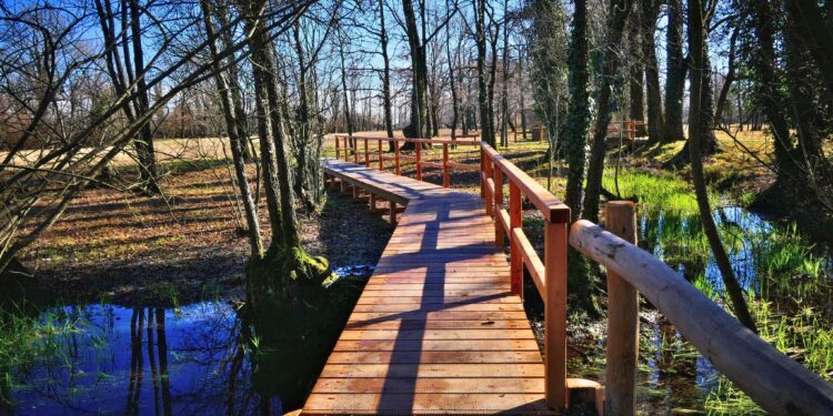 Al Parco delle Risorgive di Codroipo 500 nuove piante