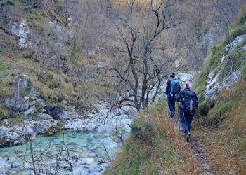 Parco delle Alpi Giulie, attività per tutti i gusti