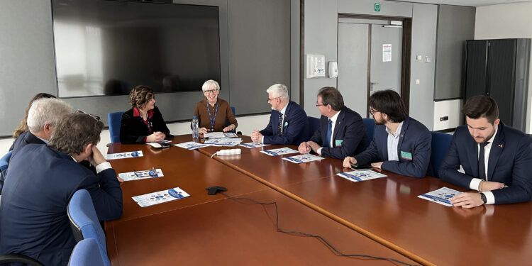 Dono del sangue, Friuli modello in Europa