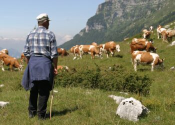 Aziende agricole di montagna a rischio chiusura per il taglio dei contributi Ue