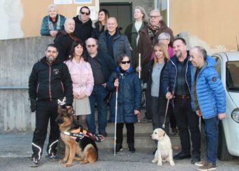 Cani guida, un nuovo servizio per essere liberi
