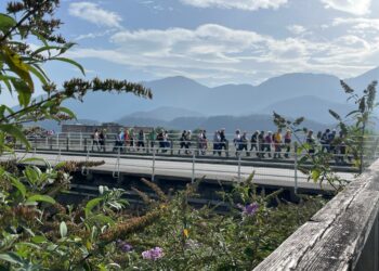 Carnia, passeggiate e laboratori digitali per over 60