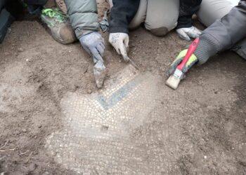 Riaffiorano altri mosaici della Bibione antica
