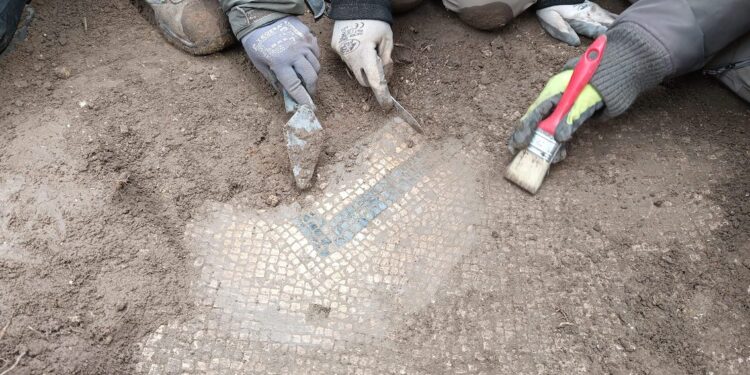 Riaffiorano altri mosaici della Bibione antica