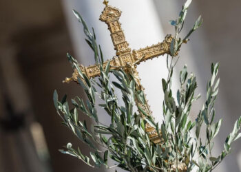 Domenica delle Palme, inizia la Settimana Santa. Mons. Mazzocato celebra in Cattedrale