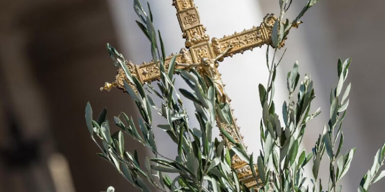 Domenica delle Palme, inizia la Settimana Santa. Mons. Mazzocato celebra in Cattedrale