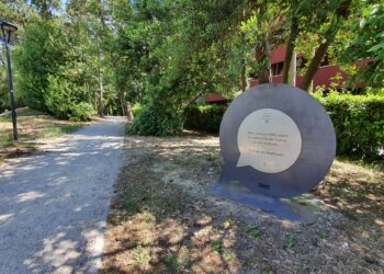 Lignano. La proposta di 5 camminate tra mare, pineta e Tagliamento